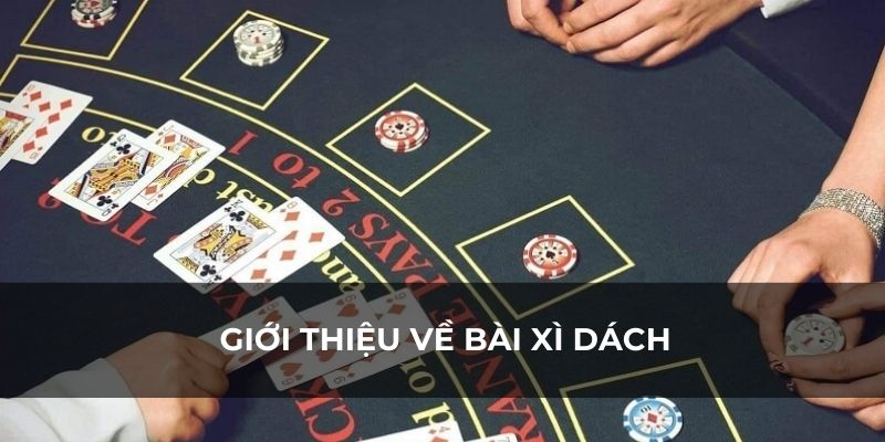 Tìm hiểu về mẹo rút xì dách dễ thắng