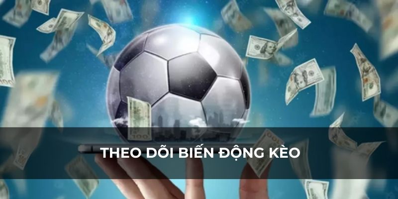 Lựa chọn loại kèo phù hợp